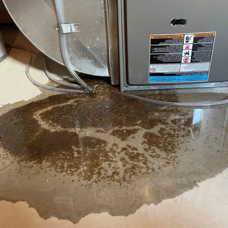 Pipe Burst and Leak Restoration in Mahwah, NJ